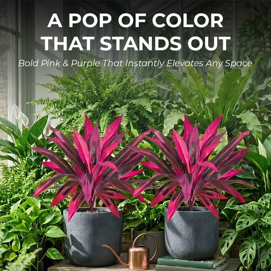 🔥Last Day 50% OFF🔥 Artificial Boston Fern & Dragon's Blood Tree Plants