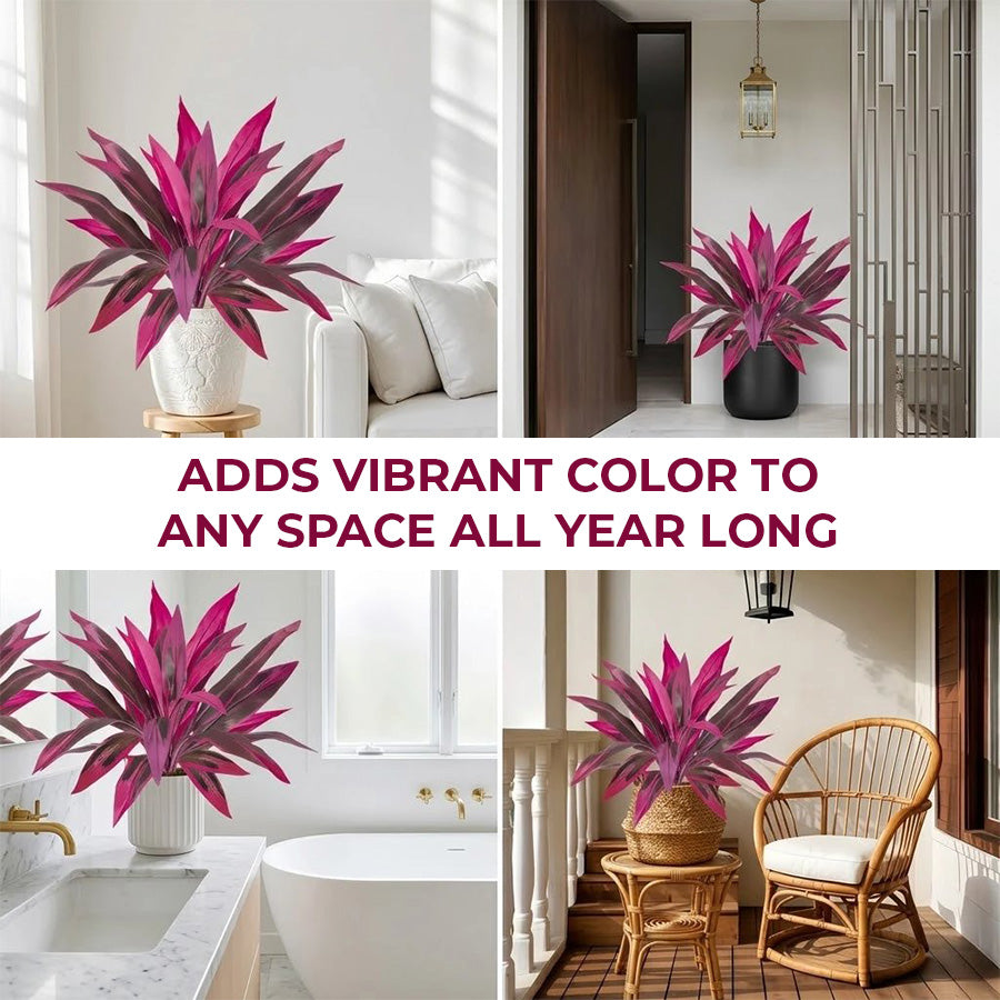 🔥Last Day 50% OFF🔥 Artificial Boston Fern & Dragon's Blood Tree Plants