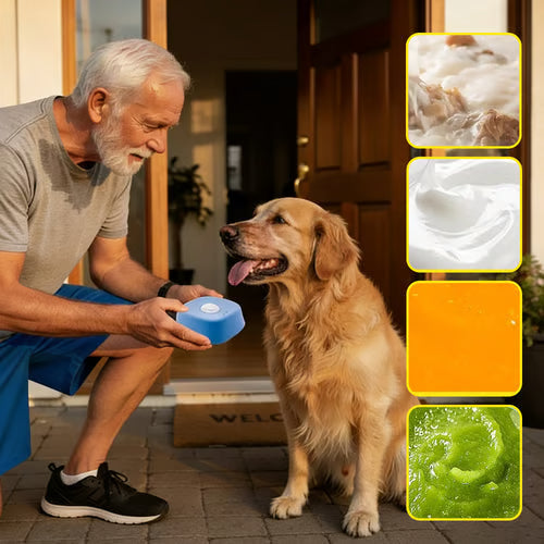 Slow-Feed Liquid Dog Bowls