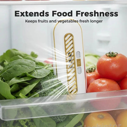 Rechargeable Portable Fridge Sterilizer