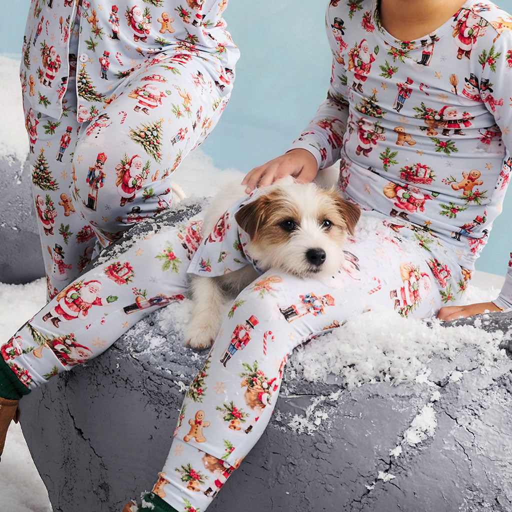 Saint Nicolas Dog Bandana