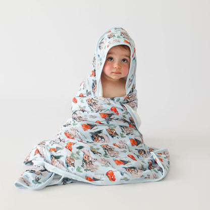 Disney Pixar Cars Rte 66 Hooded Towel