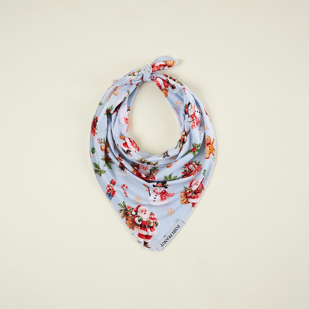 Saint Nicolas Dog Bandana