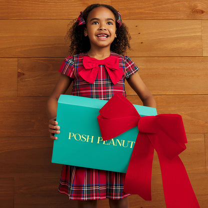 Red Tartan Plaid Pleated Dress